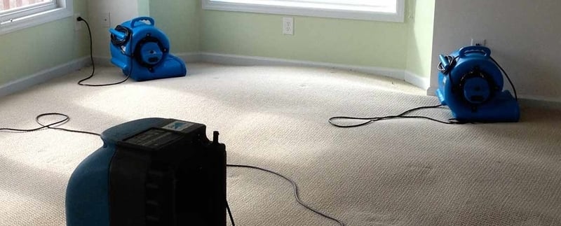 Carpet cleaning and water restoration services